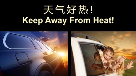 Top Tint Promotion